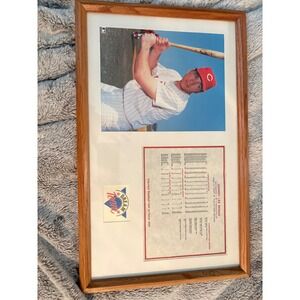 Johnny Bench Cincinnati Reds 12x21 Framed Career Stats Hall of Fame Photo